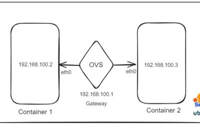 Container Communication with OpenvSwitch: A Step-by-Step Guide